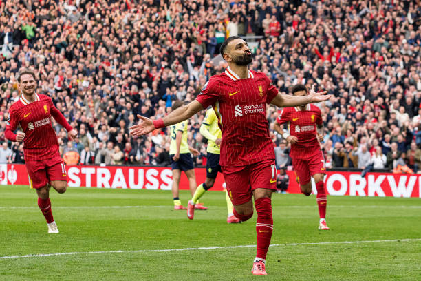 牛俱乐部新 牛俱乐部新