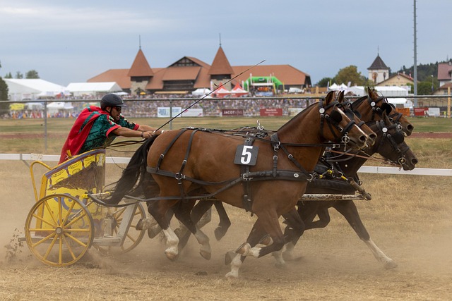 球员在未来 球员在未来